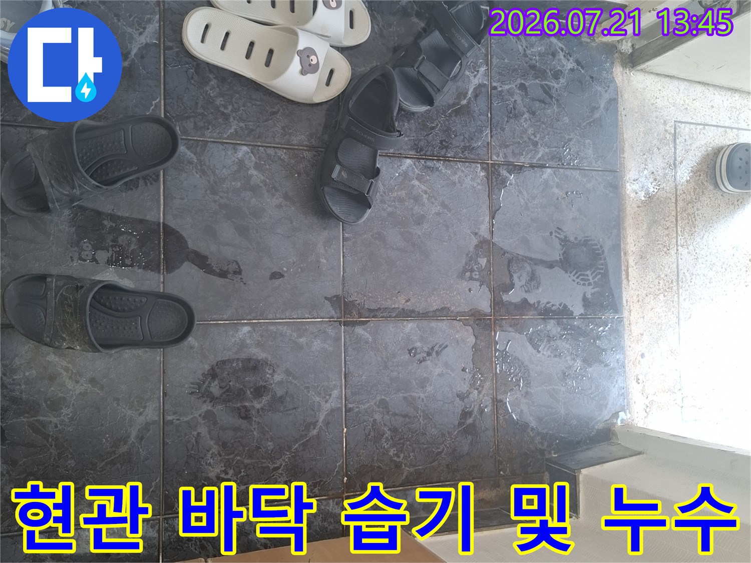 현관 타일 사이로 스며든 물과 젖은 신발 주변 모습