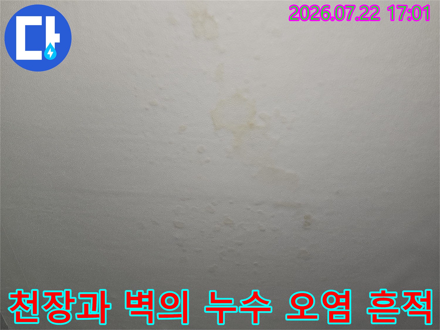 거실 천장 부근에 발생한 수분 침투 및 얼룩 현상