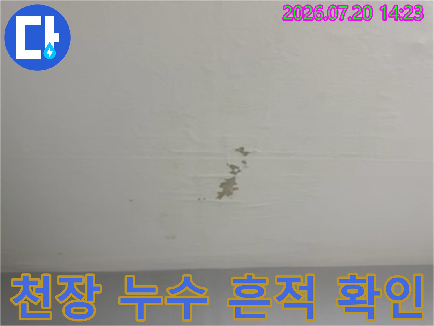 천장 도배지가 젖어 들러붙고 부풀어 오른 누수 피해 현황
