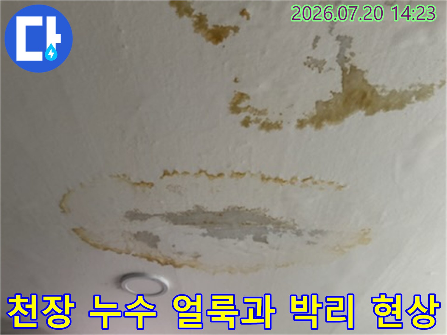 천장 배관 누수로 인해 발생한 노란색 얼룩과 석고보드 탈락 현상