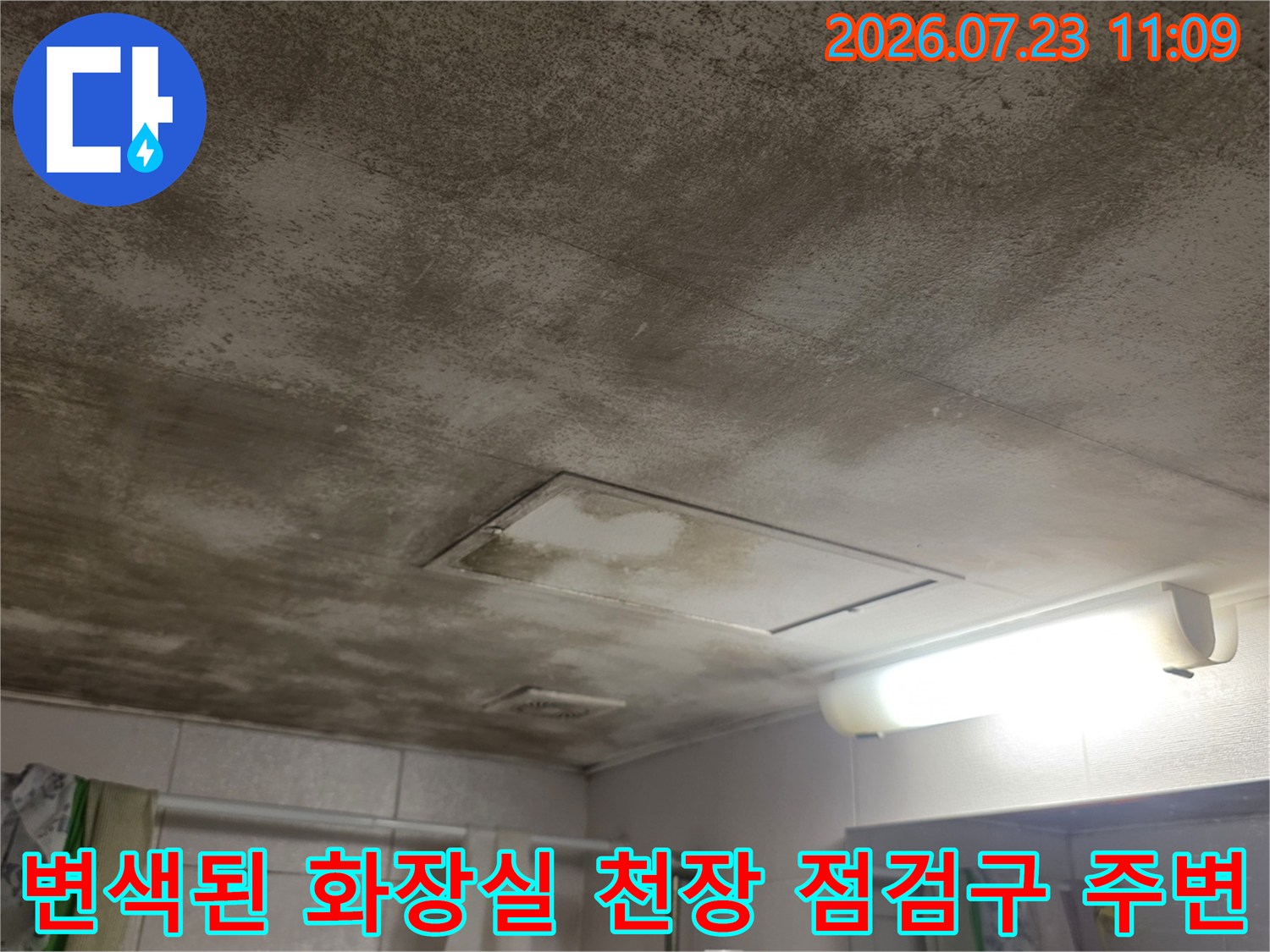 천장 점검구와 조명 주변으로 심하게 번진 누수 얼룩과 곰팡이