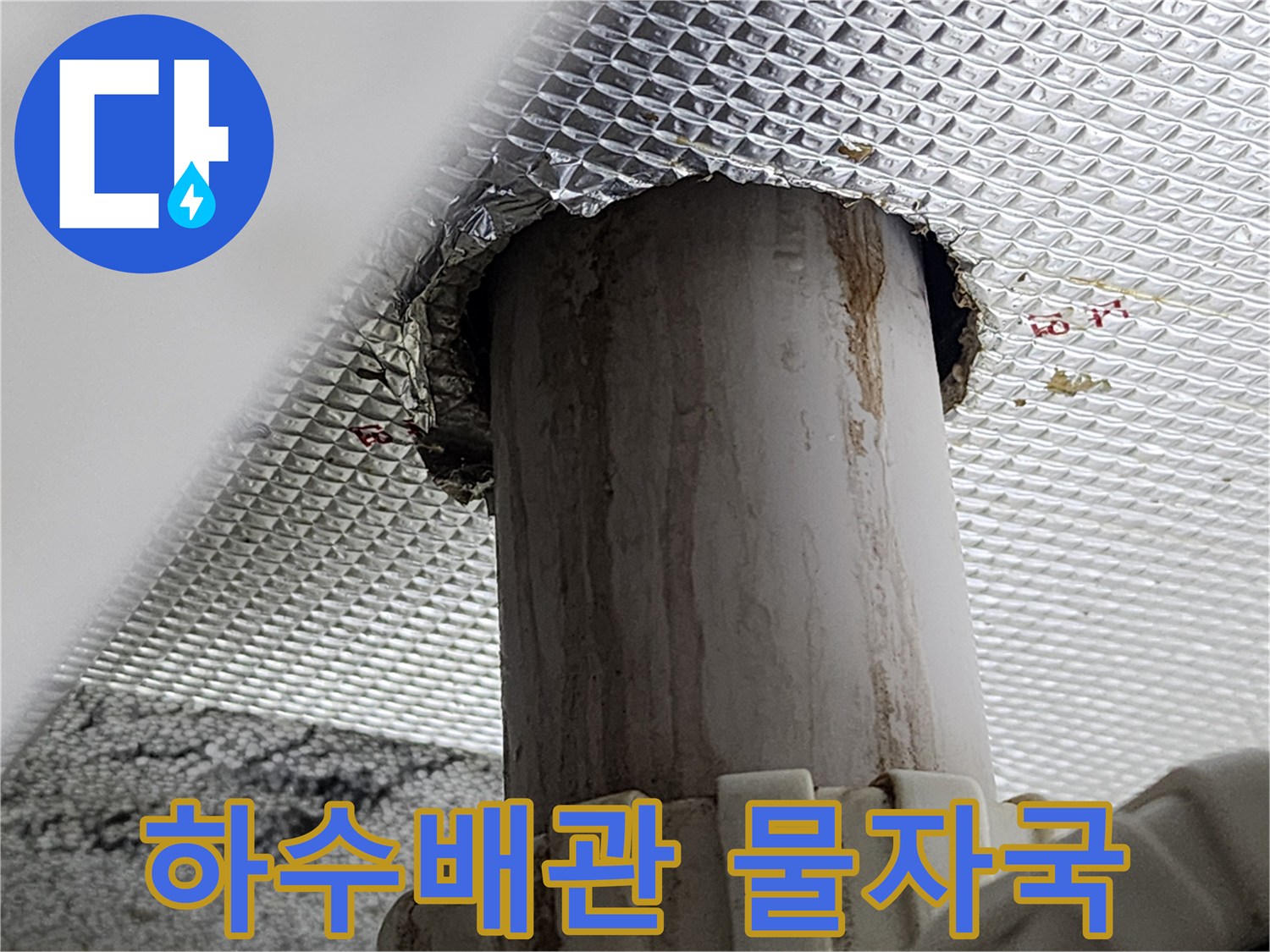 아래층 천장재 사이로 보이는 오염된 하수 배관