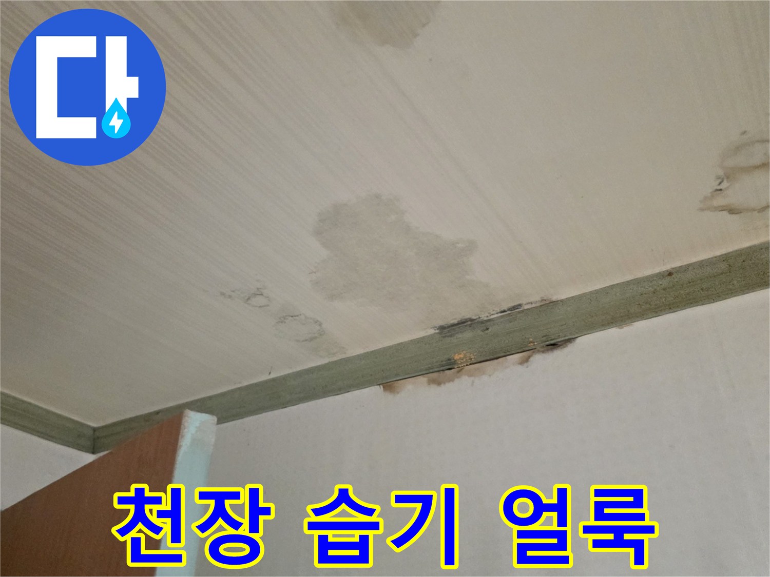 누수 발생으로 인한 - 천장 마감재의 변색과 오염 상태