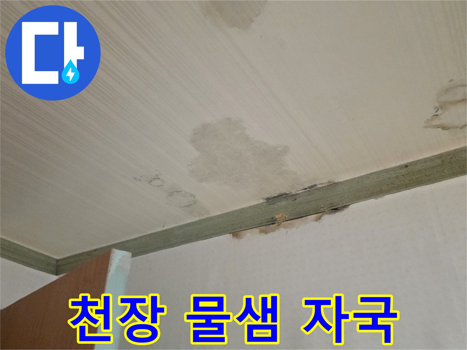 누수로 인해 발생한 천장 얼룩과 젖은 부위 - 성북구 현장 기록