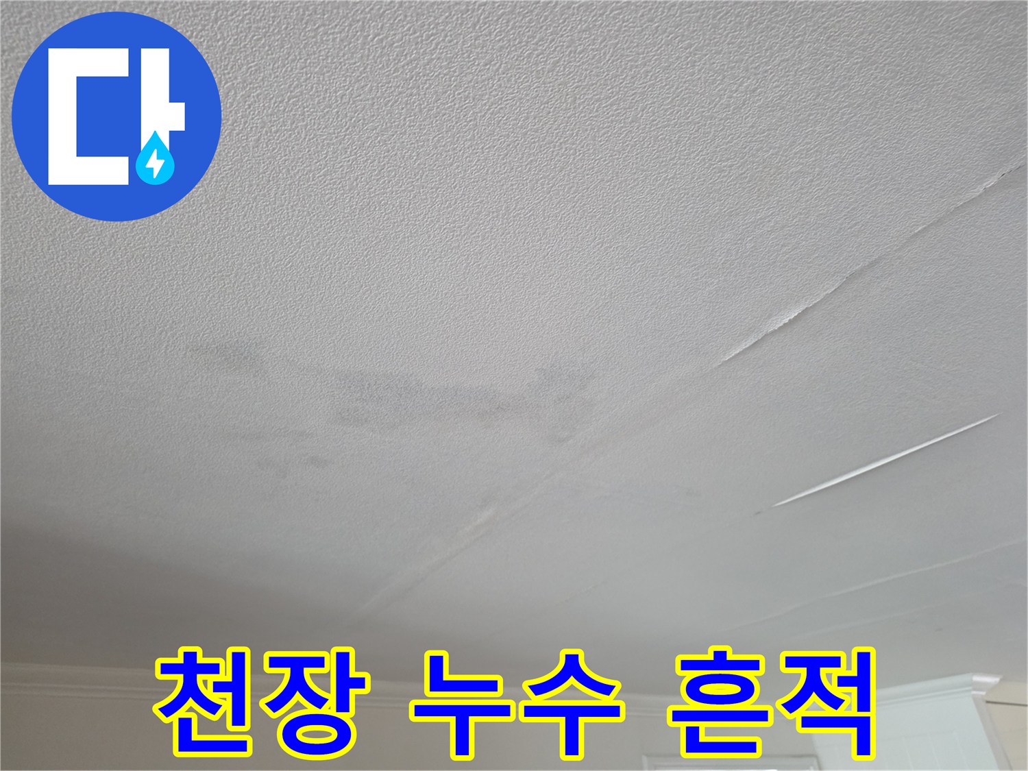 거실 천장 벽지에 나타난 불규칙한 수분 침투 흔적