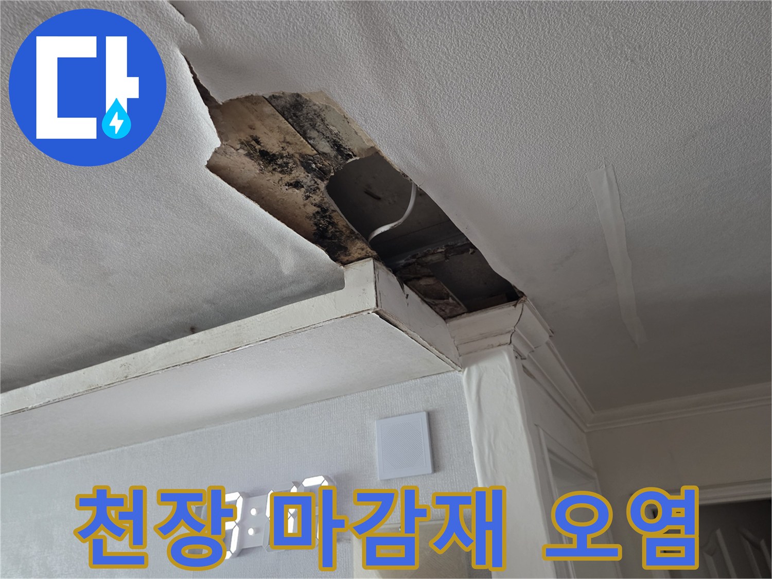 습기로 인해 부식되고 곰팡이가 발생한 천장 내부