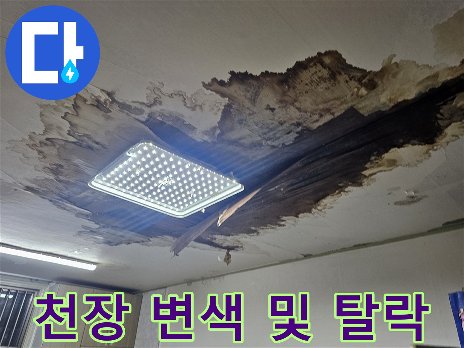 동작구 상도동 빌라-천장 마감재가 물에 젖어 변색되고 떨어진 모습