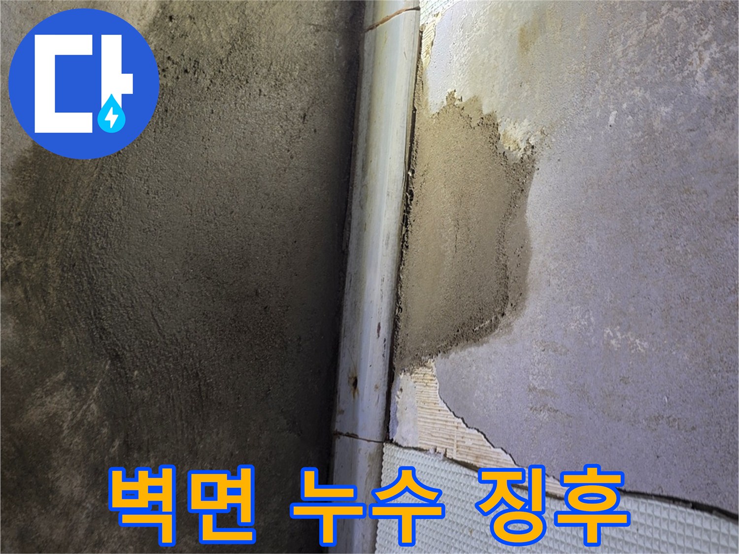 욕실-벽체-하부-타일-탈락-및-습기