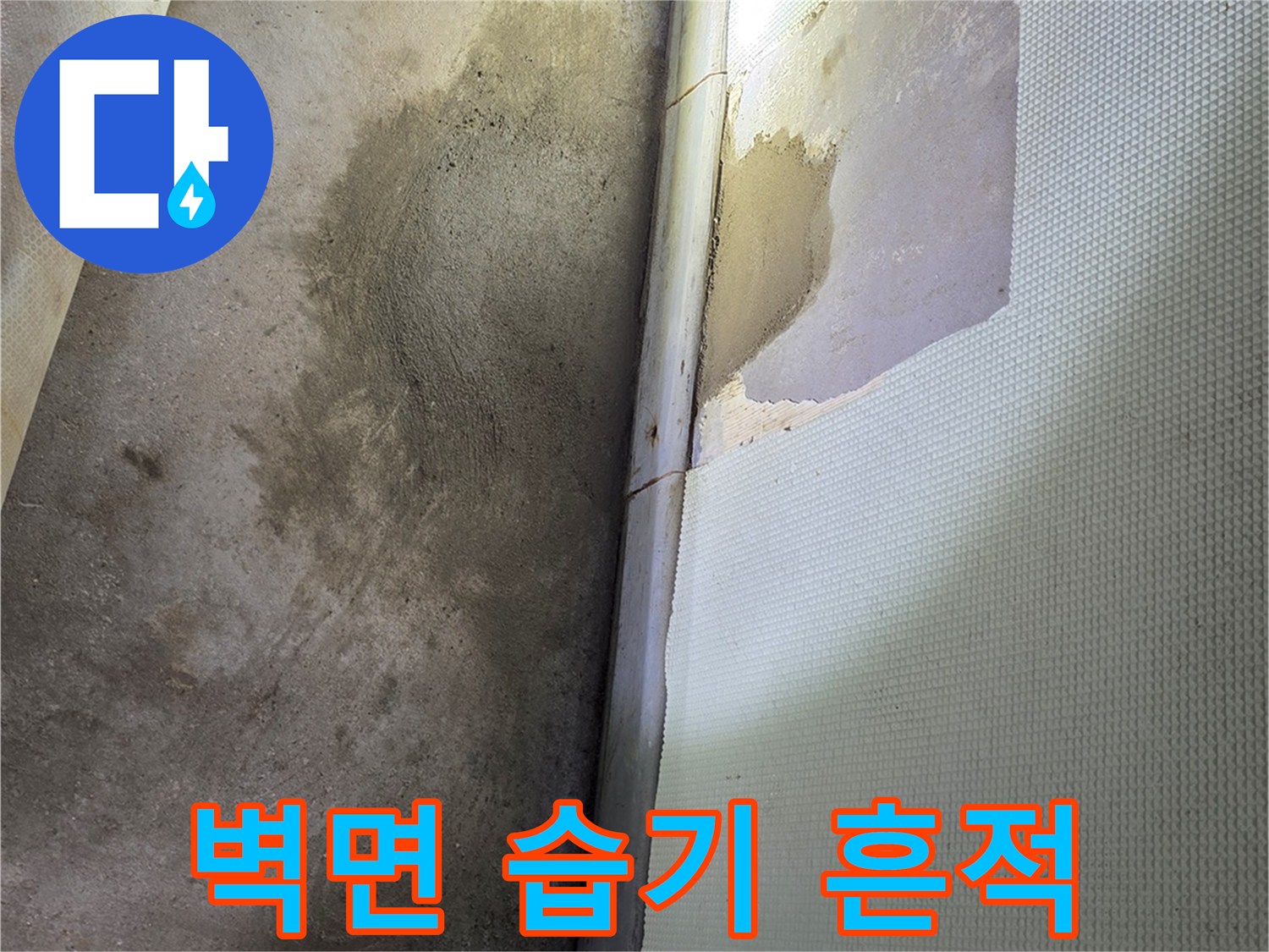 하단-벽지-젖음-및-얼룩