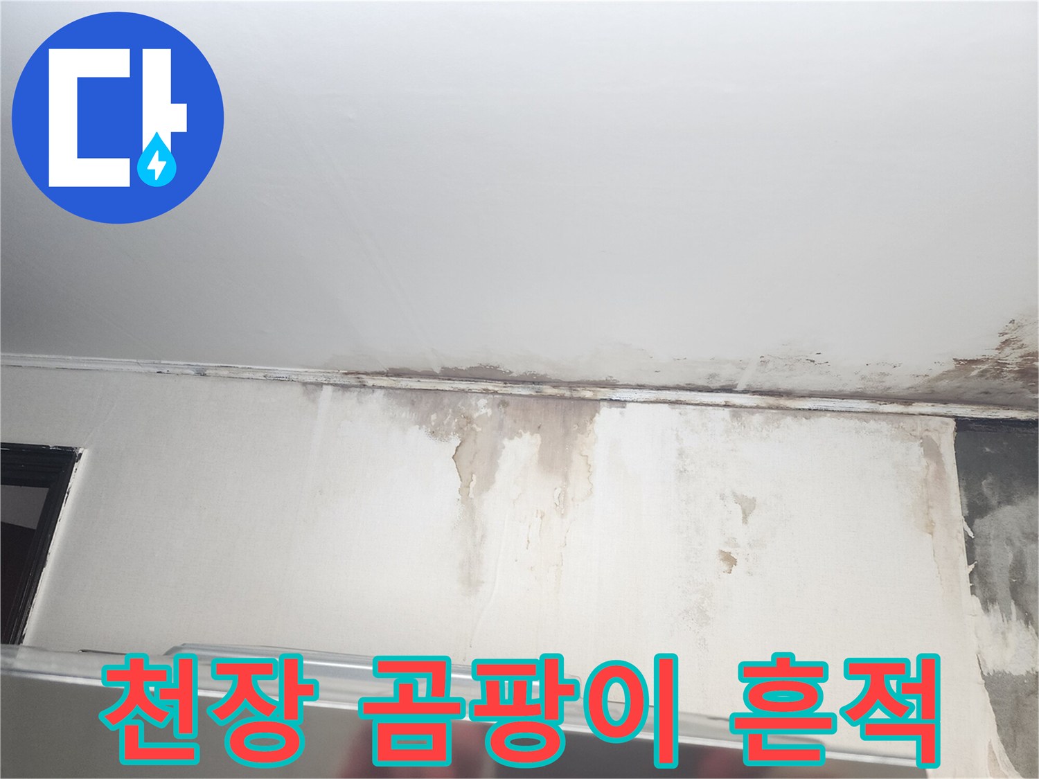 주방 천장 가장자리에-광범위하게 나타난 곰팡이와 얼룩