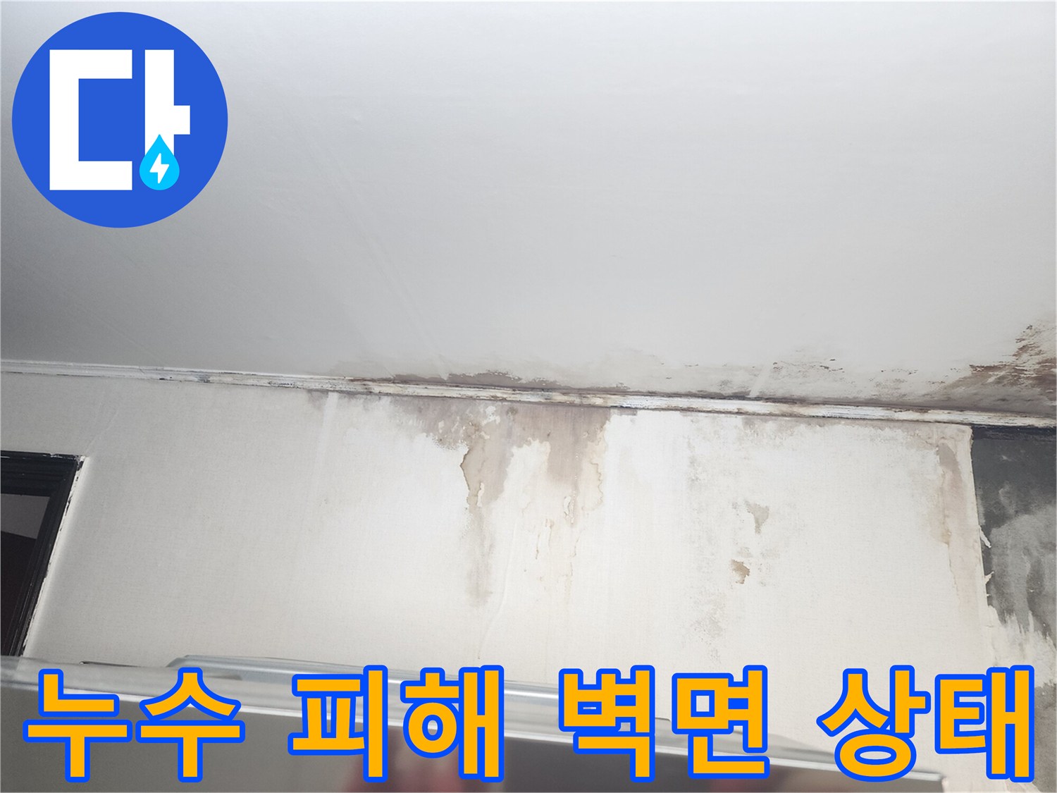 천장 경계 부위의 곰팡이와 페인트 들뜸 현상 사진