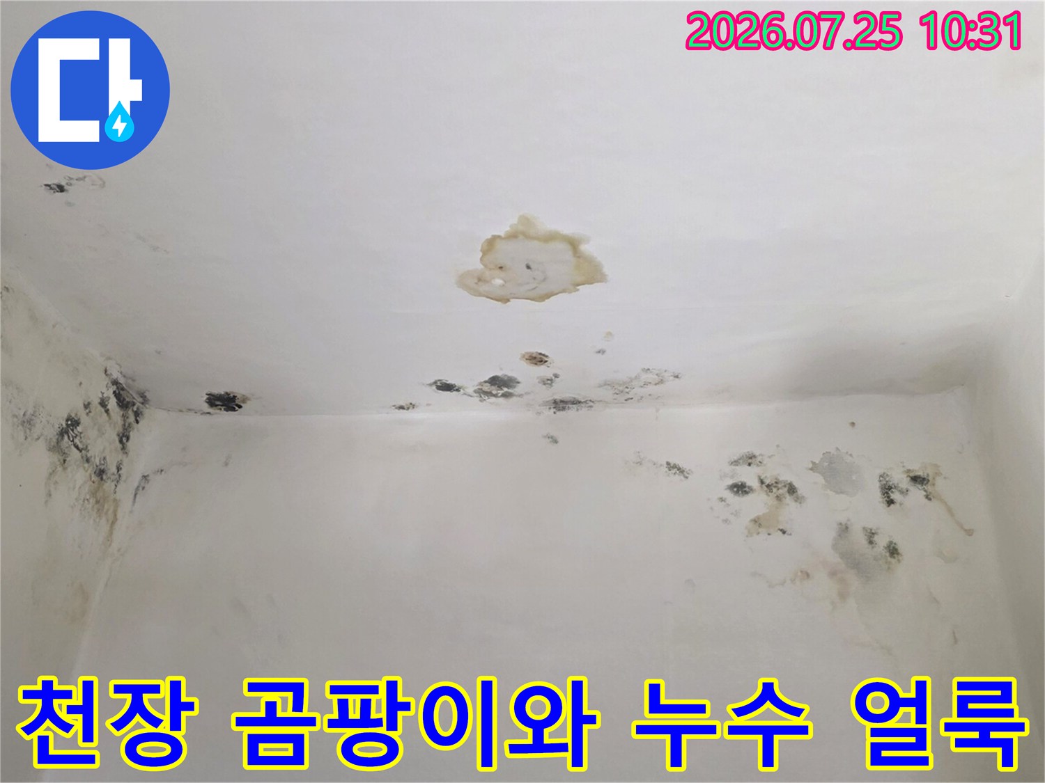 흰색 천장과 벽면 모서리에 검은색 곰팡이가 피어 있고 중앙에 노란색 물자국이 남은 모습