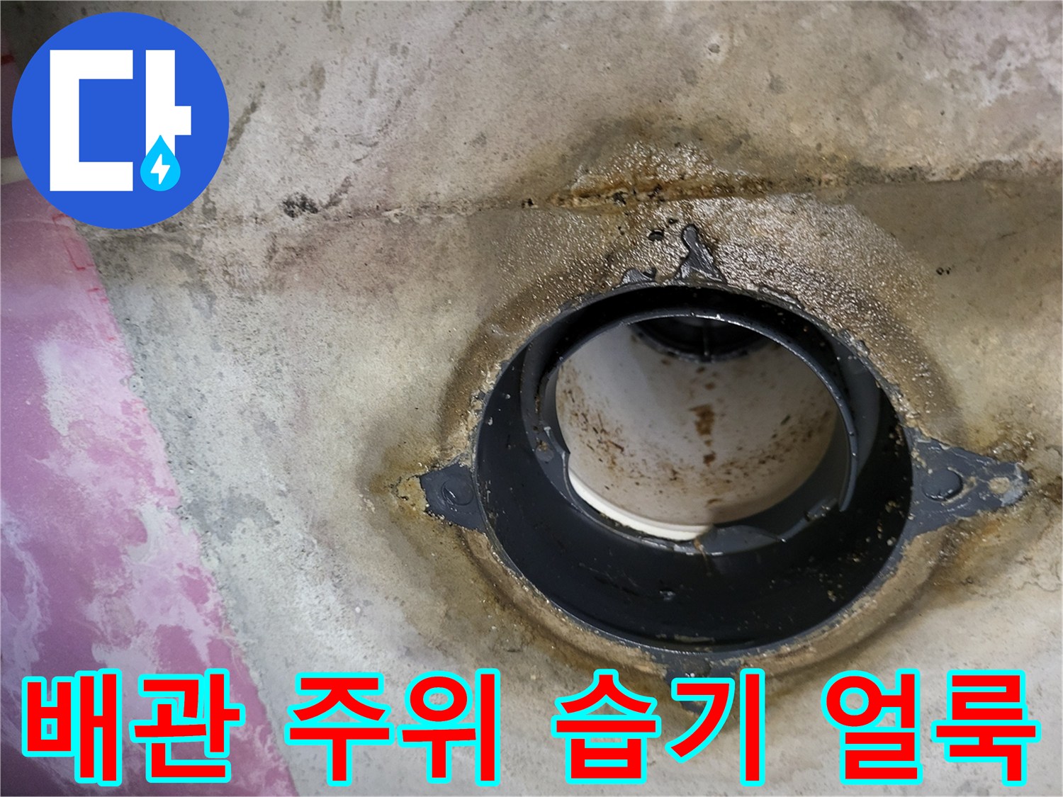 오수-배관-주변의-젖은-콘크리트-상태