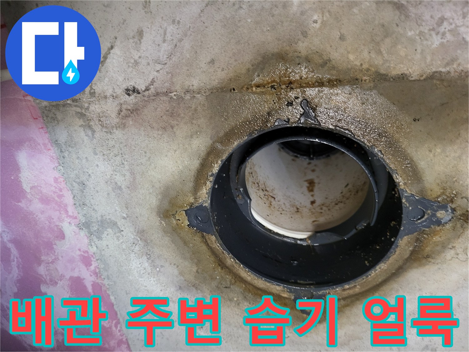 오염된-콘크리트와-젖은-배관-주변
