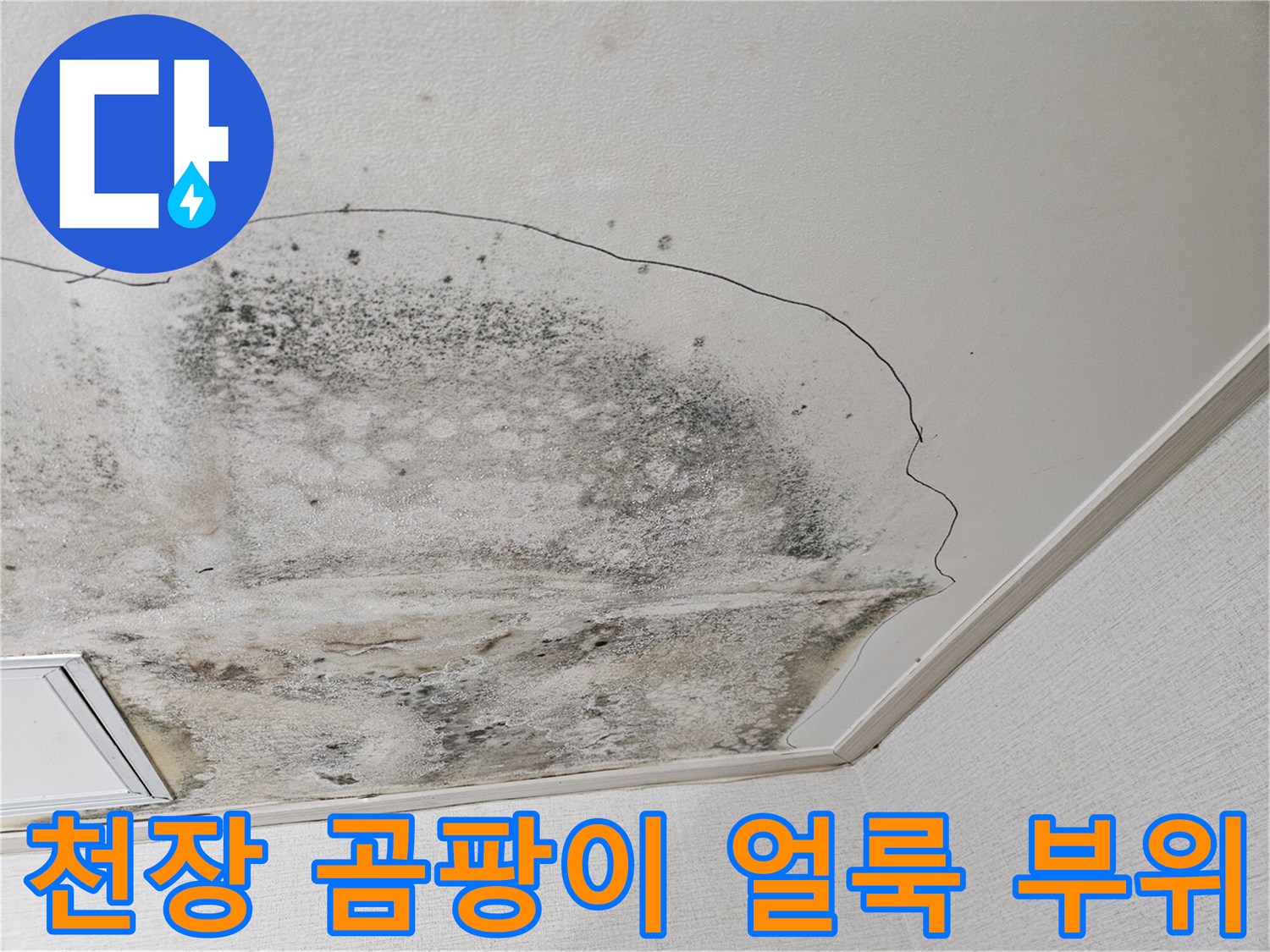 누수 흔적-검게 변한 천장 마감재와 곰팡이 오염