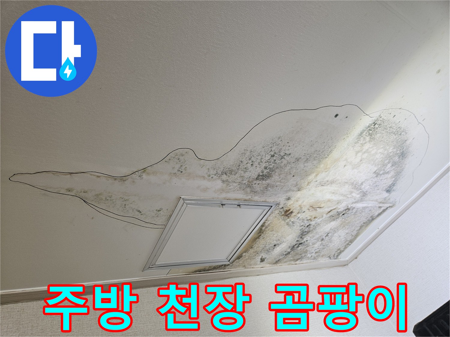 누수로 인해 광범위하게 발생한 천장 곰팡이와 얼룩