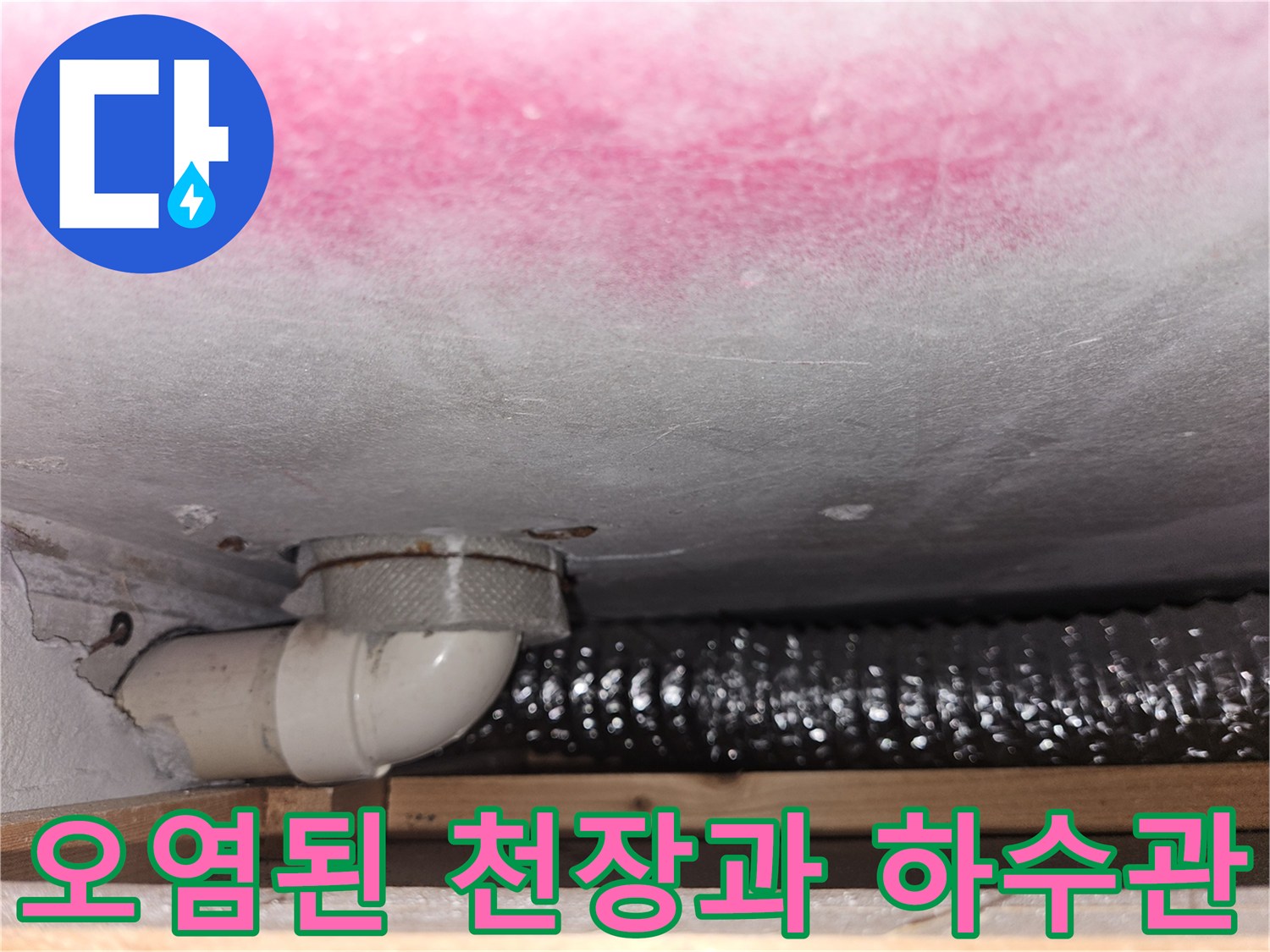 분홍색 곰팡이 흔적이 남은 천장 아래 노출된 배관 부속