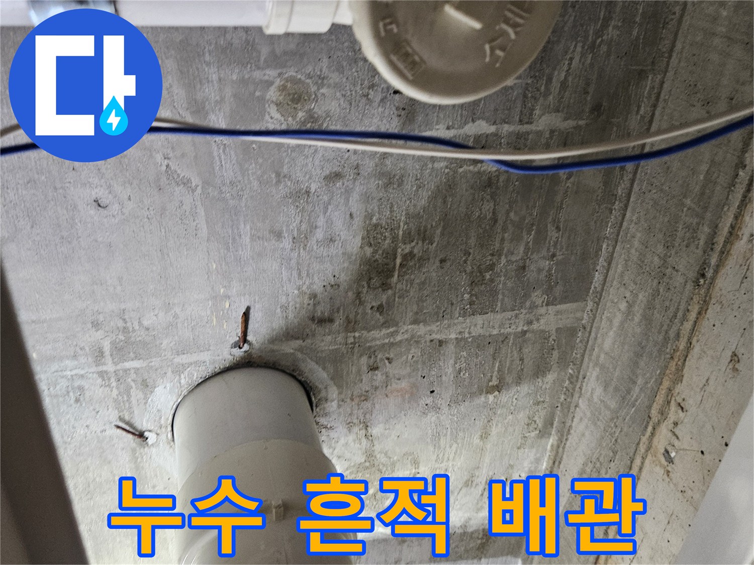 습기가 머물러 있는 하수 배관 주변 모습