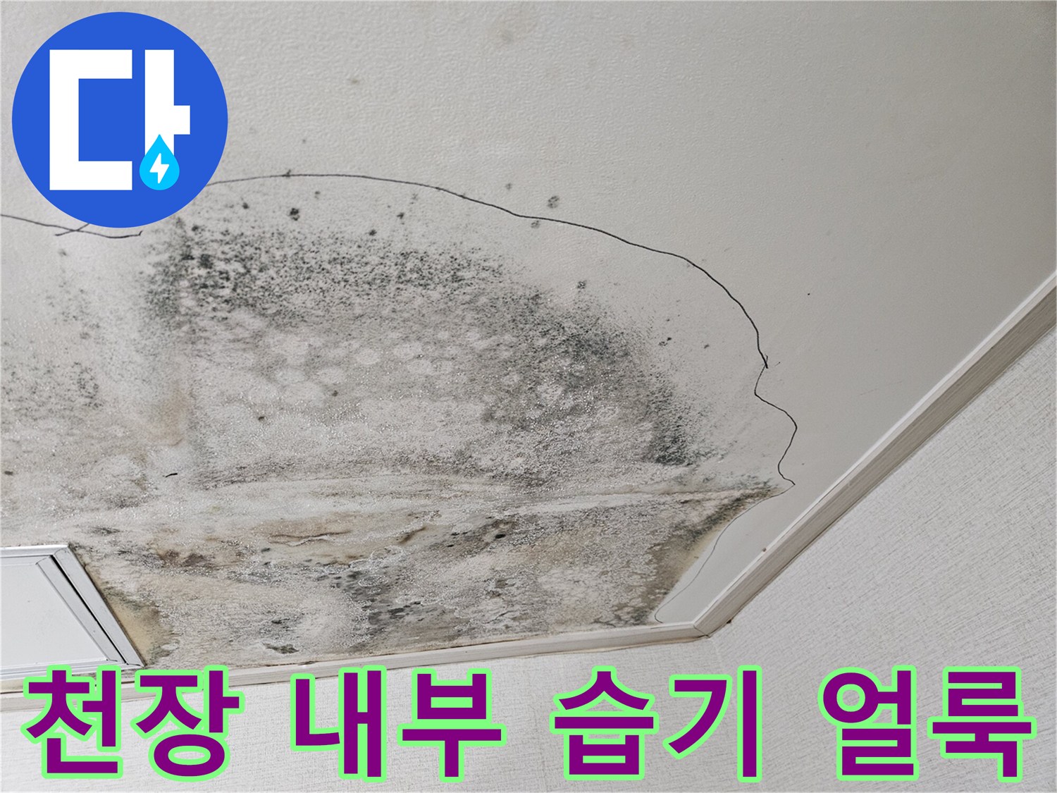 습기로 인해 검게 변한 주방 천장의 곰팡이 오염 부위