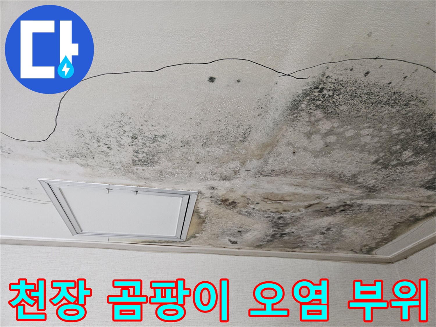 심한 곰팡이와 물자국이 남은 주방 천장 마감재 모습