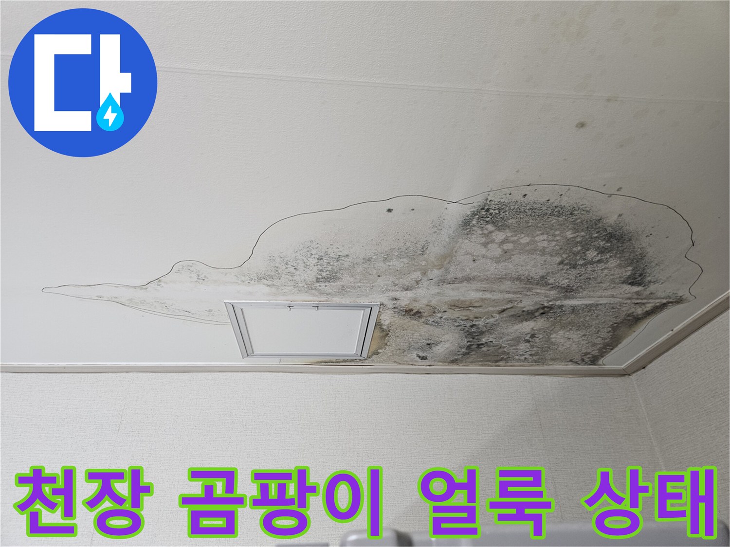 주방 천장에 발생한 물샘 흔적과 곰팡이 번짐 현상