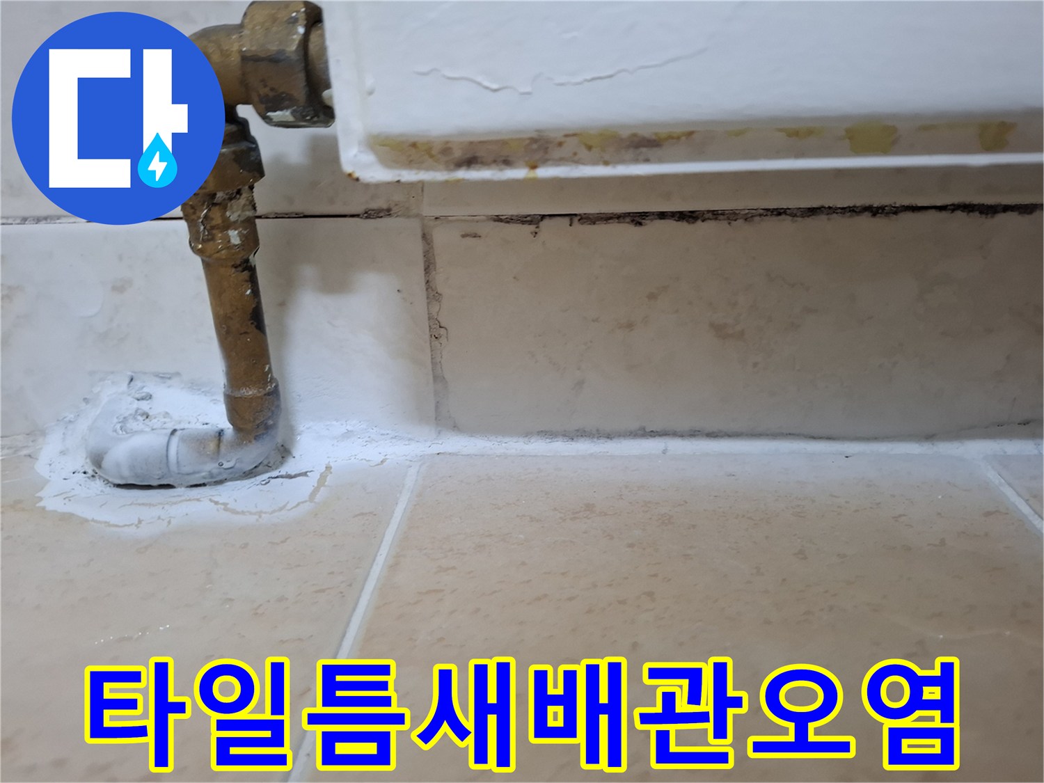 상계동 아파트 화장실 배관 주변 타일 틈새 오염 상태
