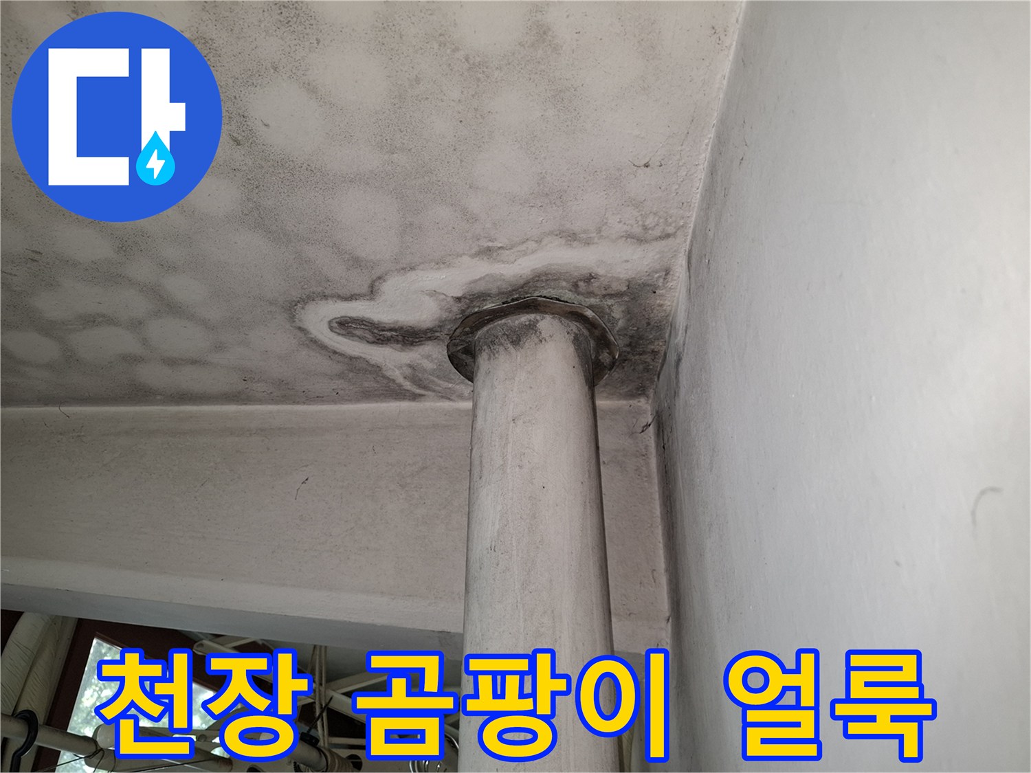 아파트 천장 기둥 주변에 발생한 검은색 곰팡이와 습기 흔적