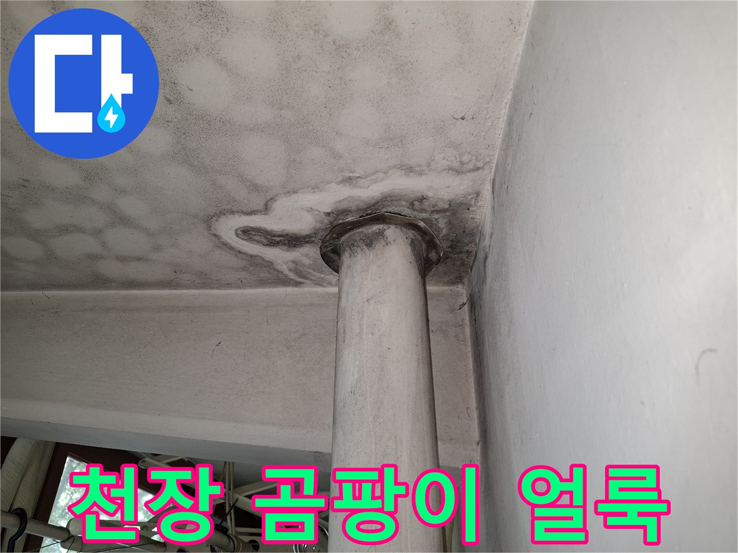 아파트 천장 기둥 주변에 발생한 검은색 곰팡이와 습기 흔적