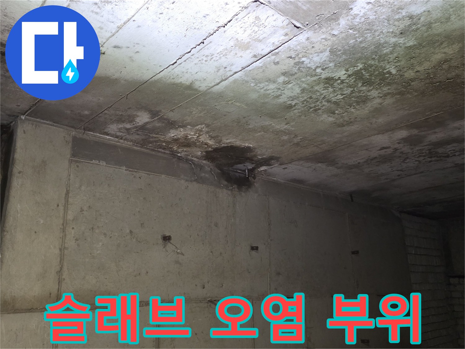 분당 상가 건물 천장 슬래브의 누수 흔적과 오염된 표면