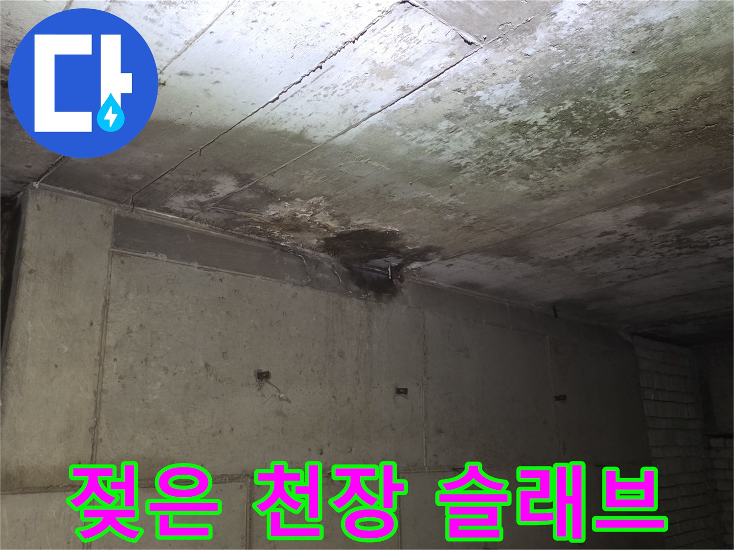 분당-수내동-상가-천장-슬래브-물샘-부위