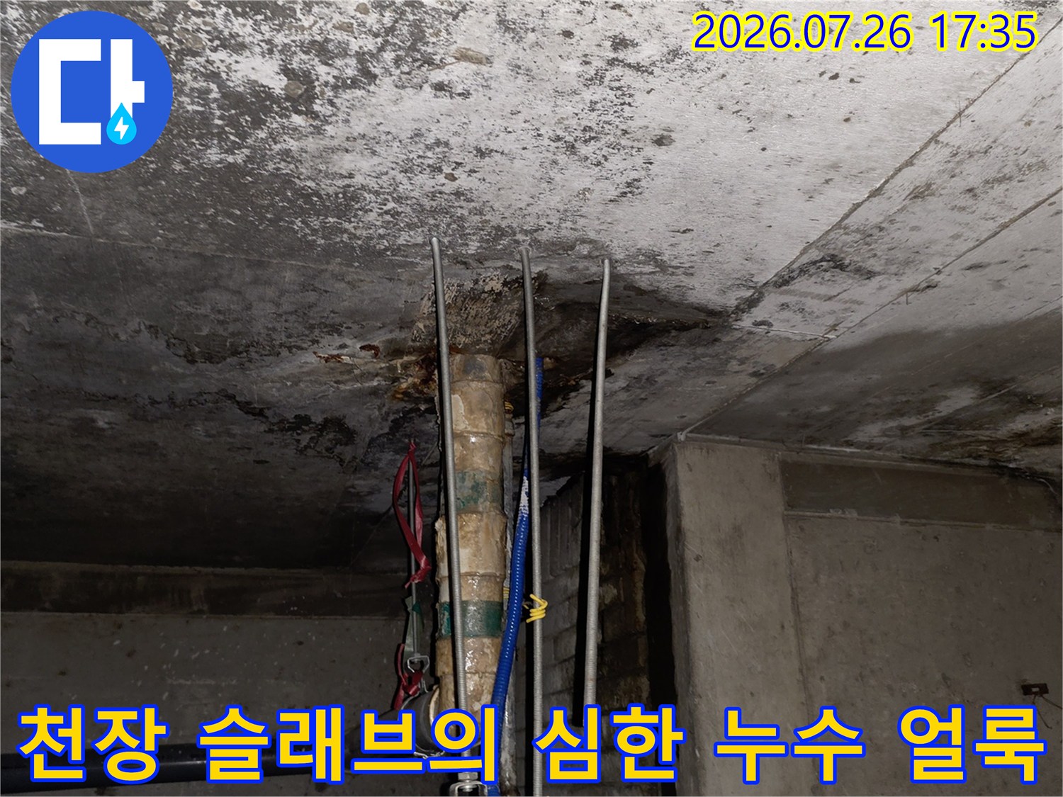 천장의 배관 주변으로 넓게 퍼진 물 얼룩과 젖은 콘크리트 표면