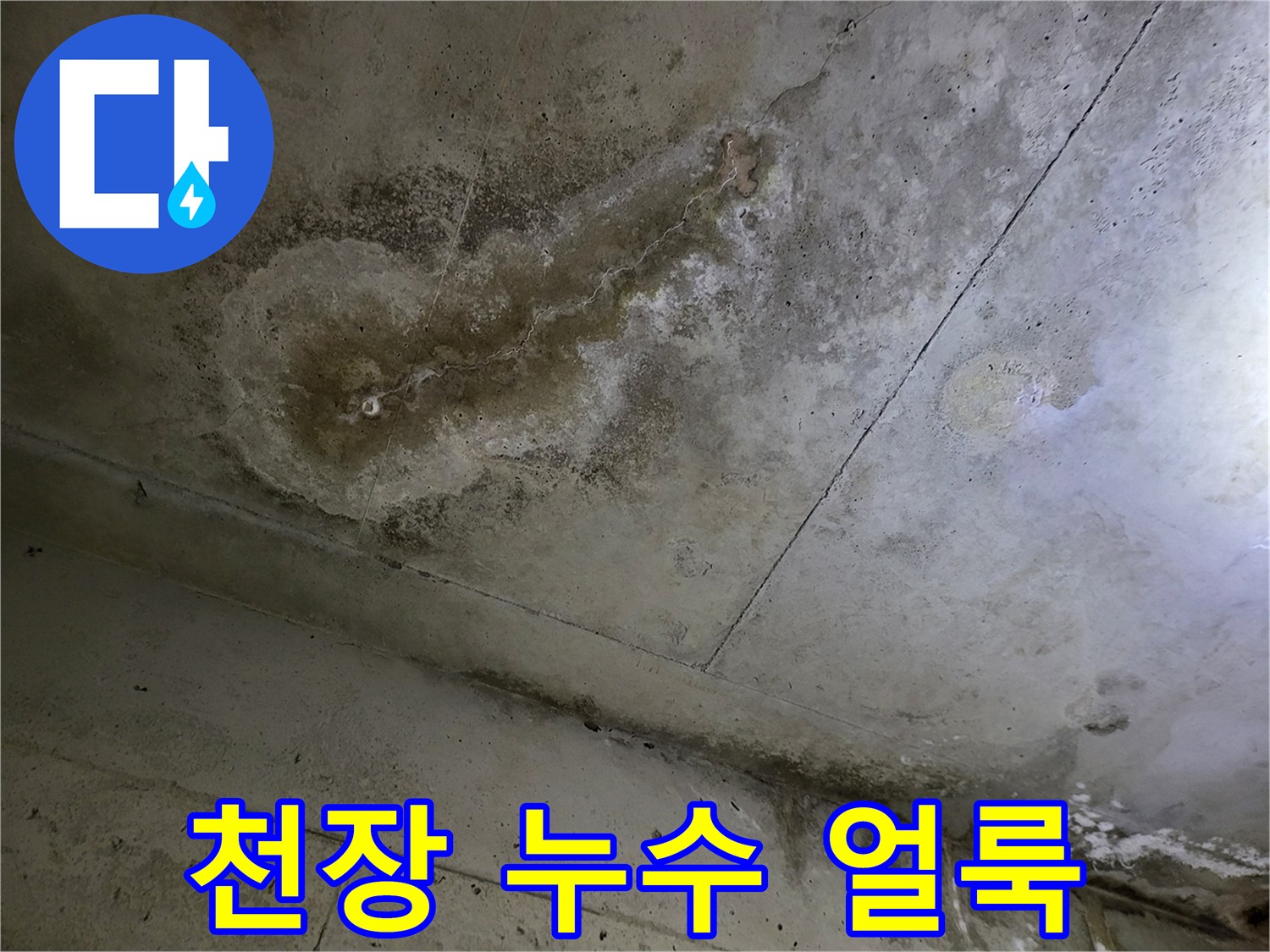 습기 유입으로 인해 어둡게 변색된 천장 마감재의 모습