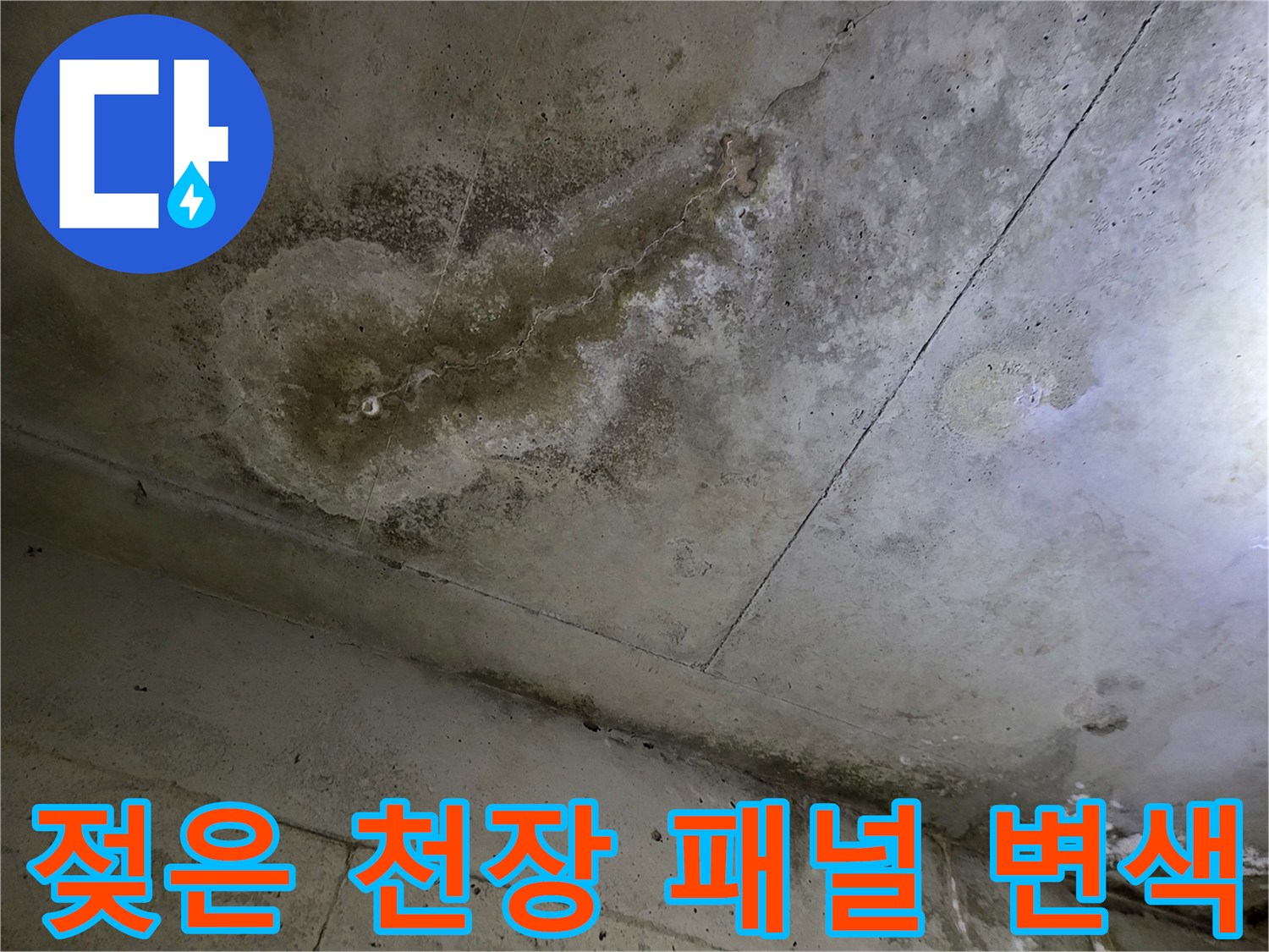 천장 마감재 표면에 나타난 곰팡이와 습기로 인한 변색 부위