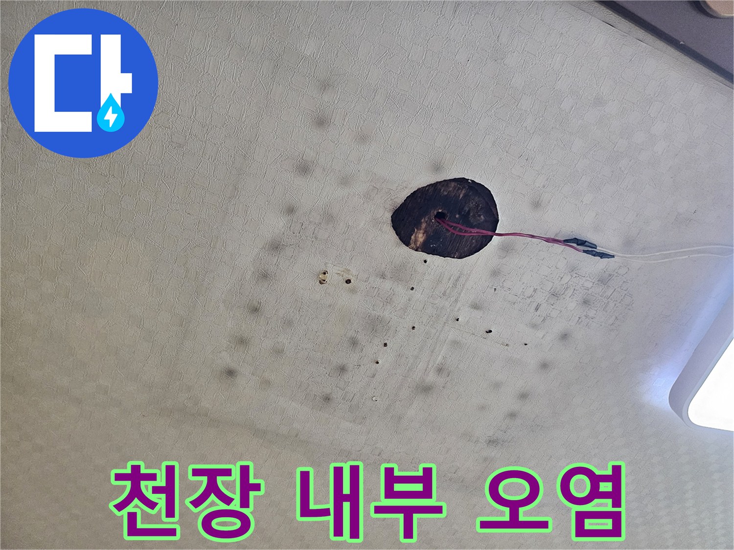 천장-텍스-패널에-남은-축축한-누수-자국