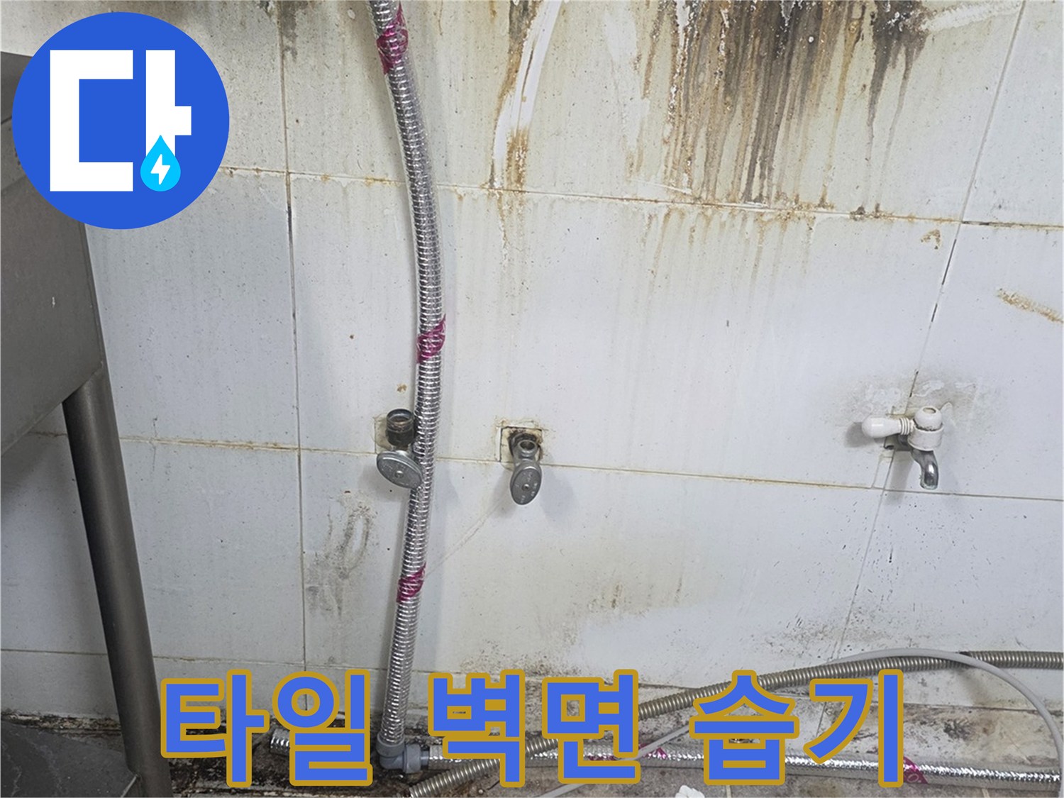배관 주변 타일의 변색된 누수 흔적과 작업 도구들