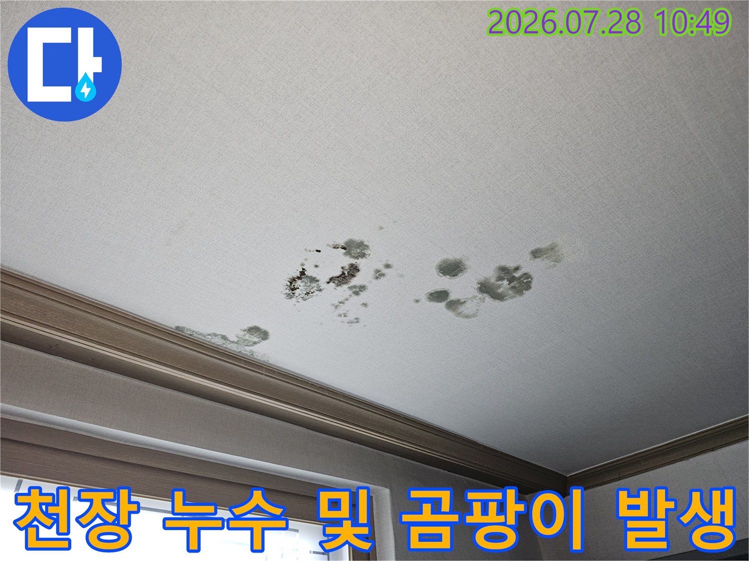 거실 천장 벽지 위의 물자국과 거뭇한 곰팡이 얼룩들