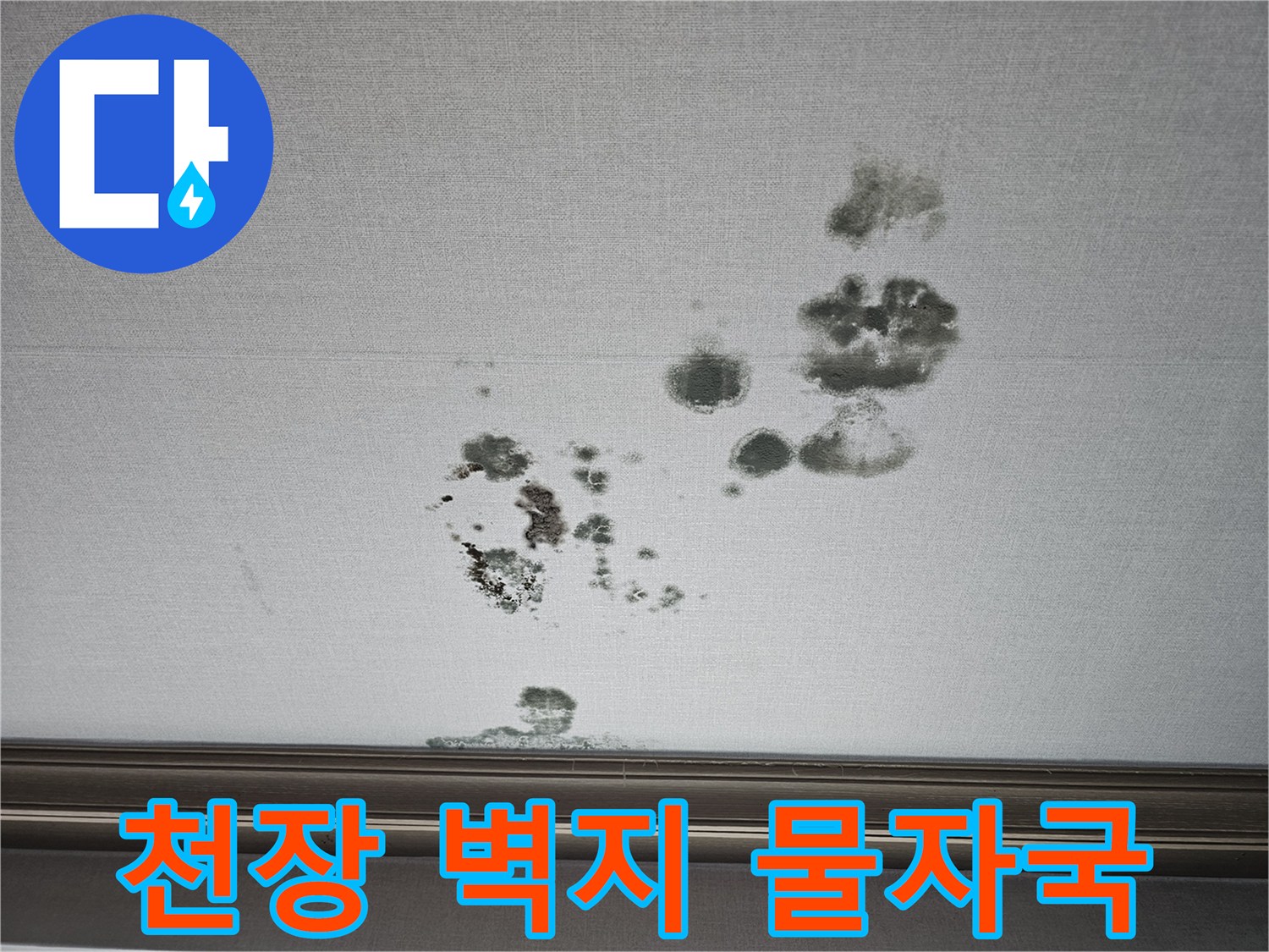 거실 천장 벽지에 발생한 검은색 곰팡이와 수분 침투 얼룩