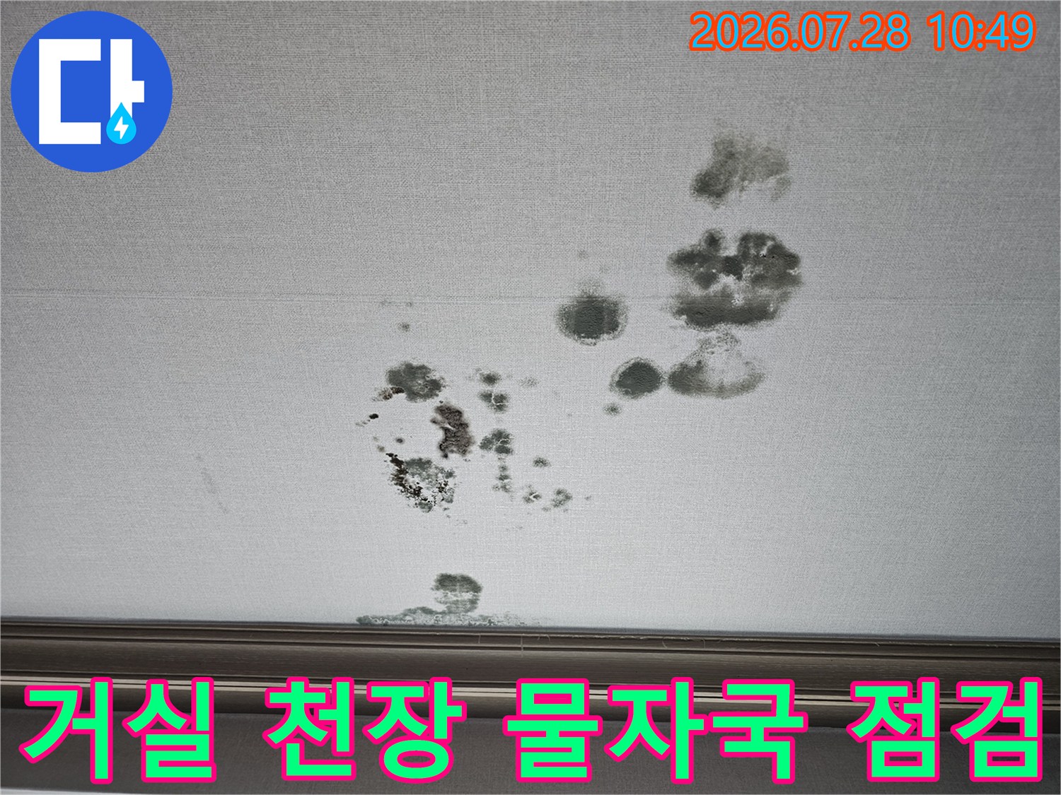 거실 천장에 누수로 인한 큰 얼룩과 오염된 흔적들