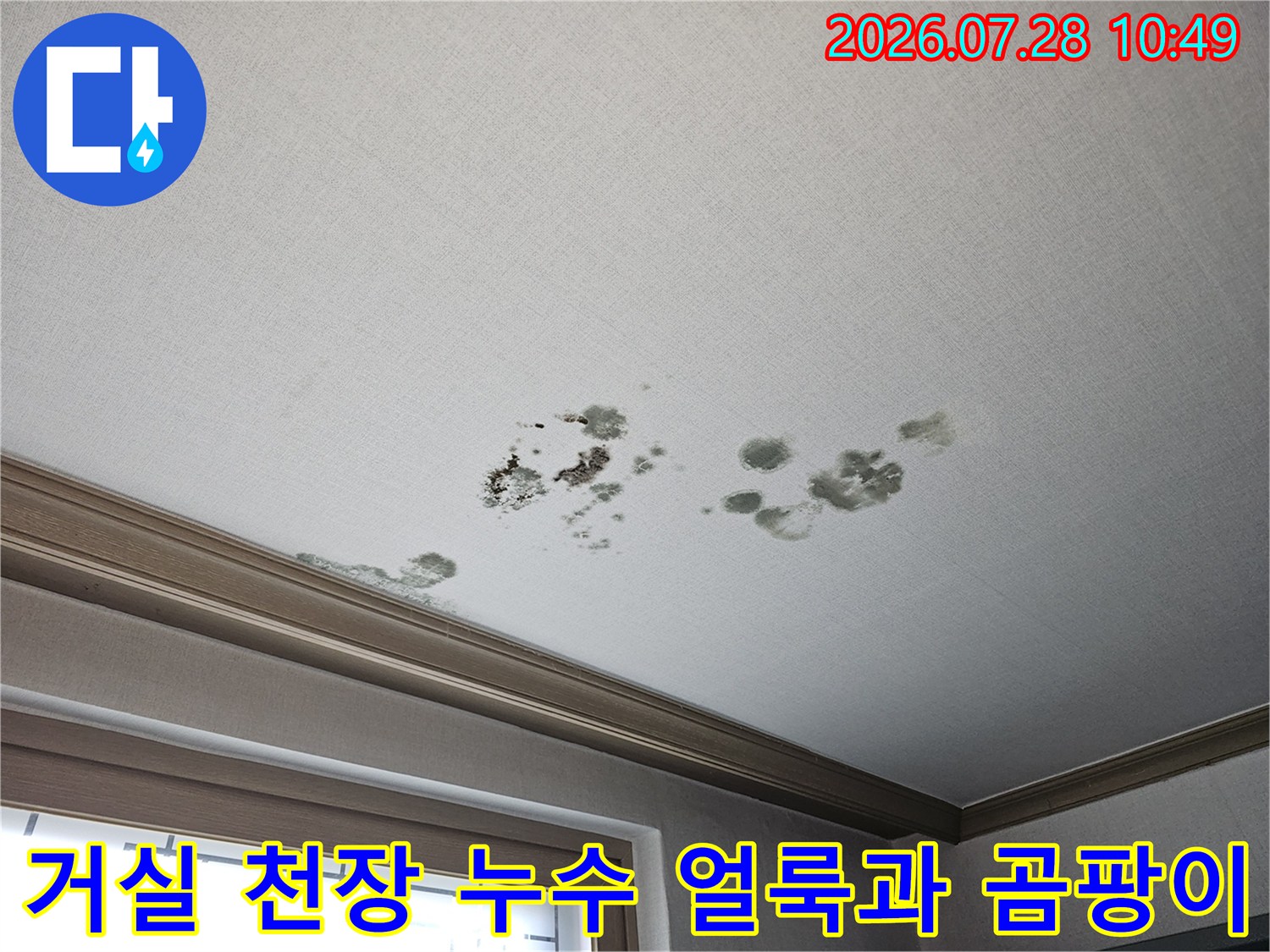거실 천장에 발생한 물샘 흔적과 곰팡이 얼룩