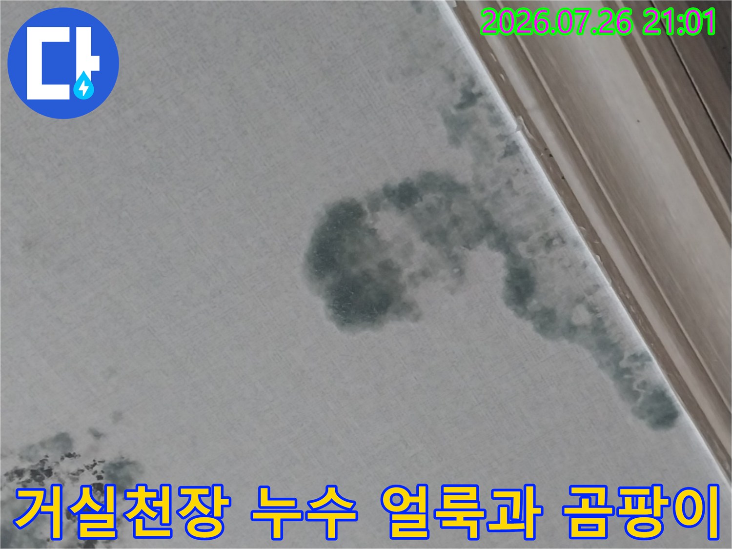 거실 천장에 발생한 어두운 색의 물샘 흔적과 곰팡이 오염