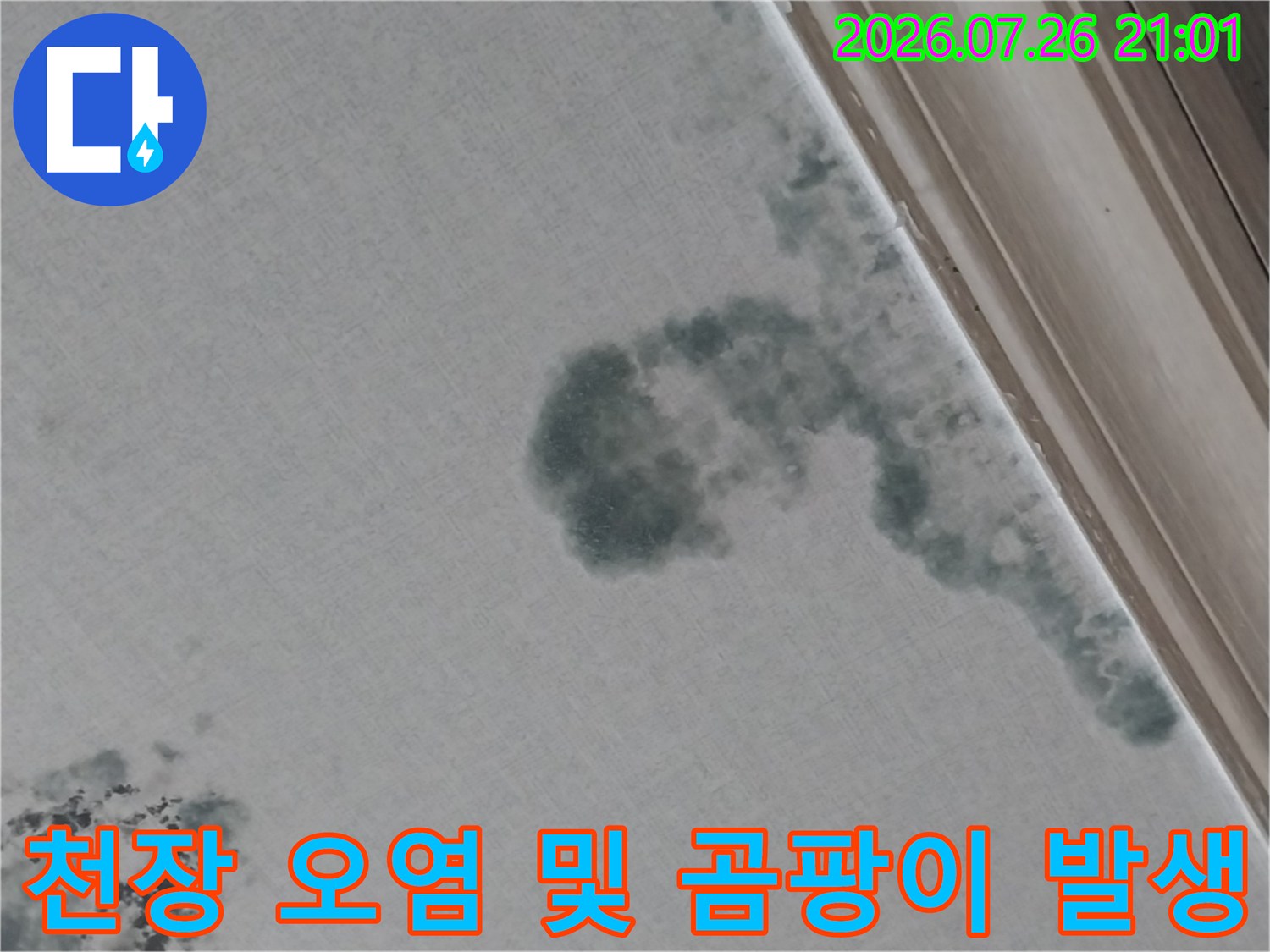 거실 천장의 변색된 얼룩과 곰팡이 확산 부위 촬영 사진