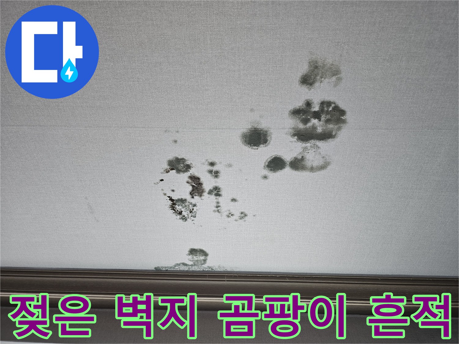 동탄 상가주택-거실 천장 벽면에 나타난 짙은 색의 물자국과 곰팡이