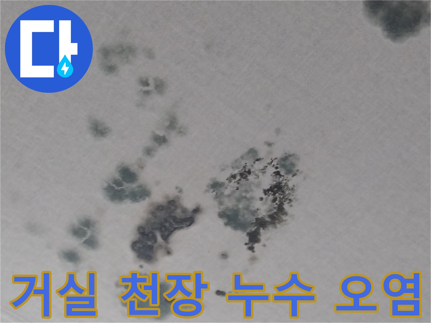 동탄 현장 방문-거실 천장 벽지에 발생한 곰팡이와 물젖음 흔적