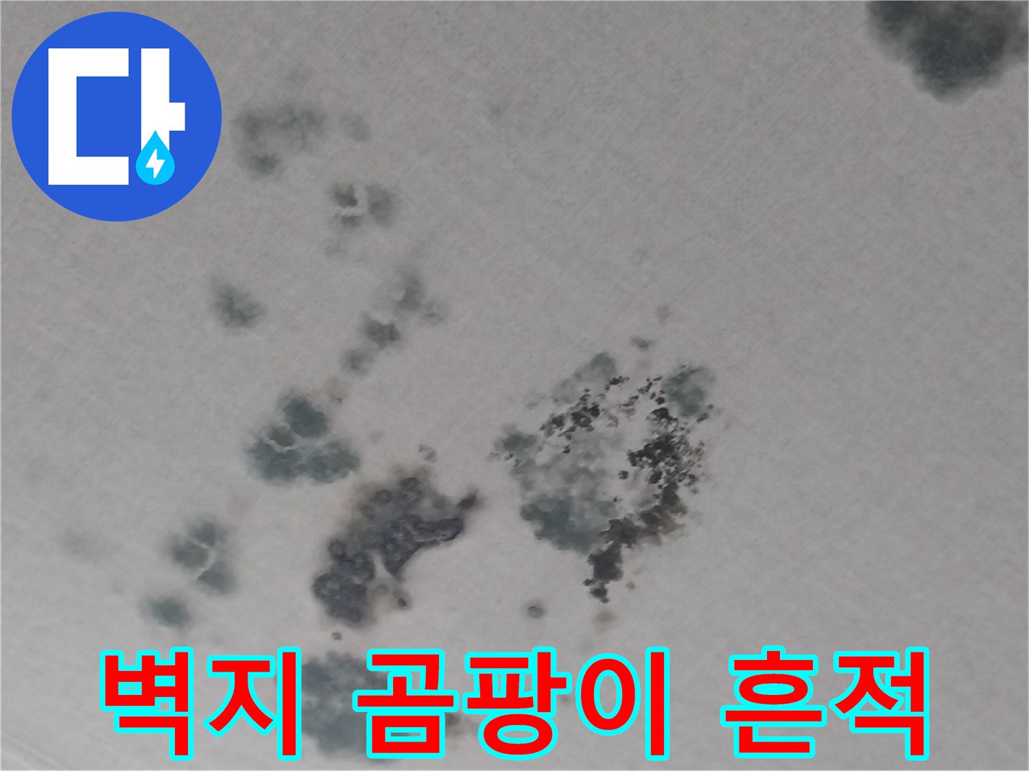 상가주택-2층-거실-천장-누수-및-변색