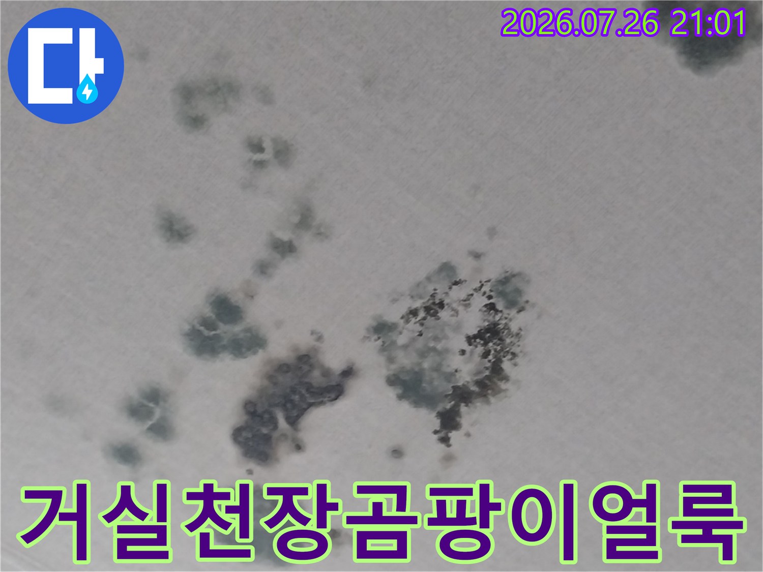 습기로 인해 거실 천장에 발생한 검은색 곰팡이와 물 얼룩