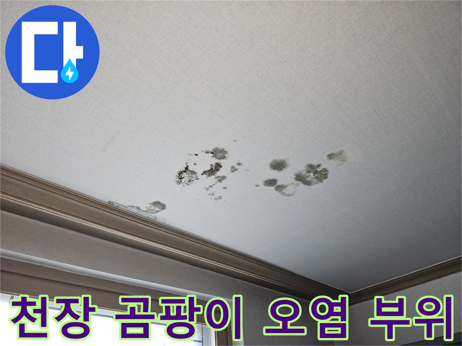 천장 벽면 곳곳에 발생한 검은색 곰팡이와 누수 흔적