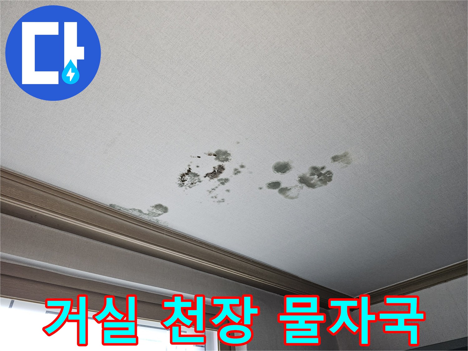 천장 벽면을 따라 넓게 퍼진 젖은 얼룩과 오염 부위