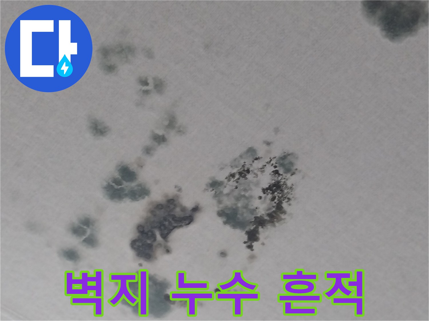 천장 벽지 표면에 발생한 검은색 곰팡이와 침수 흔적 상세 이미지