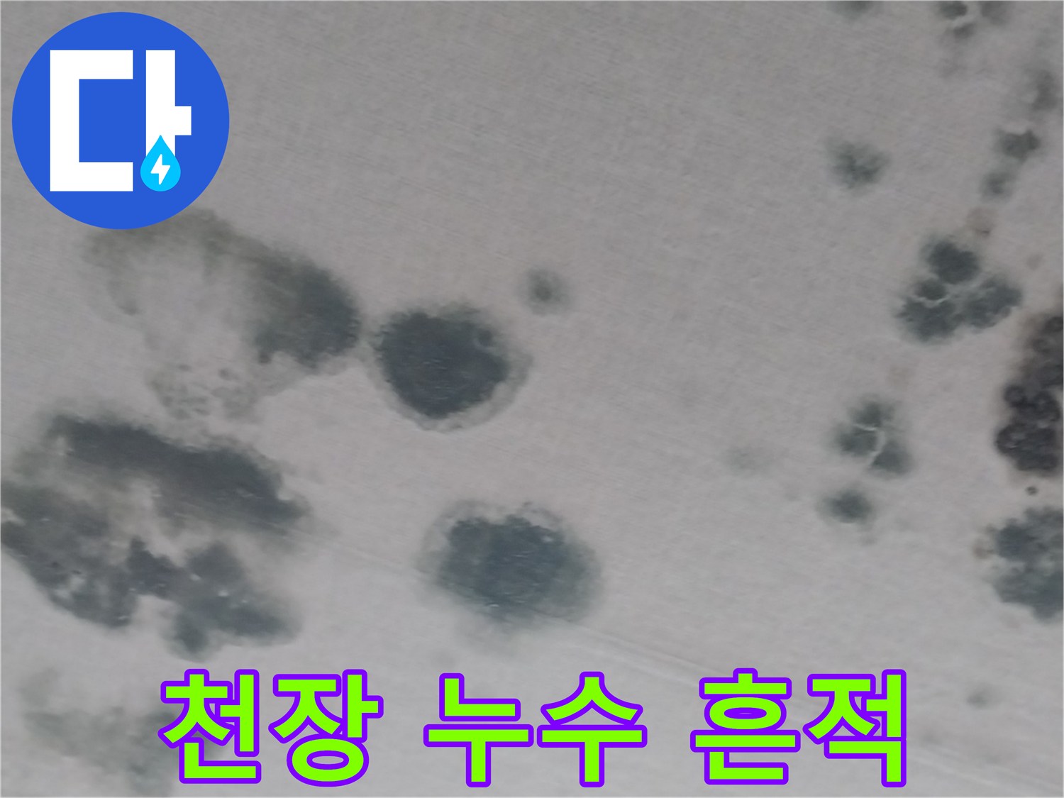 천장면에 형성된 어두운색의 누수 유입 자국