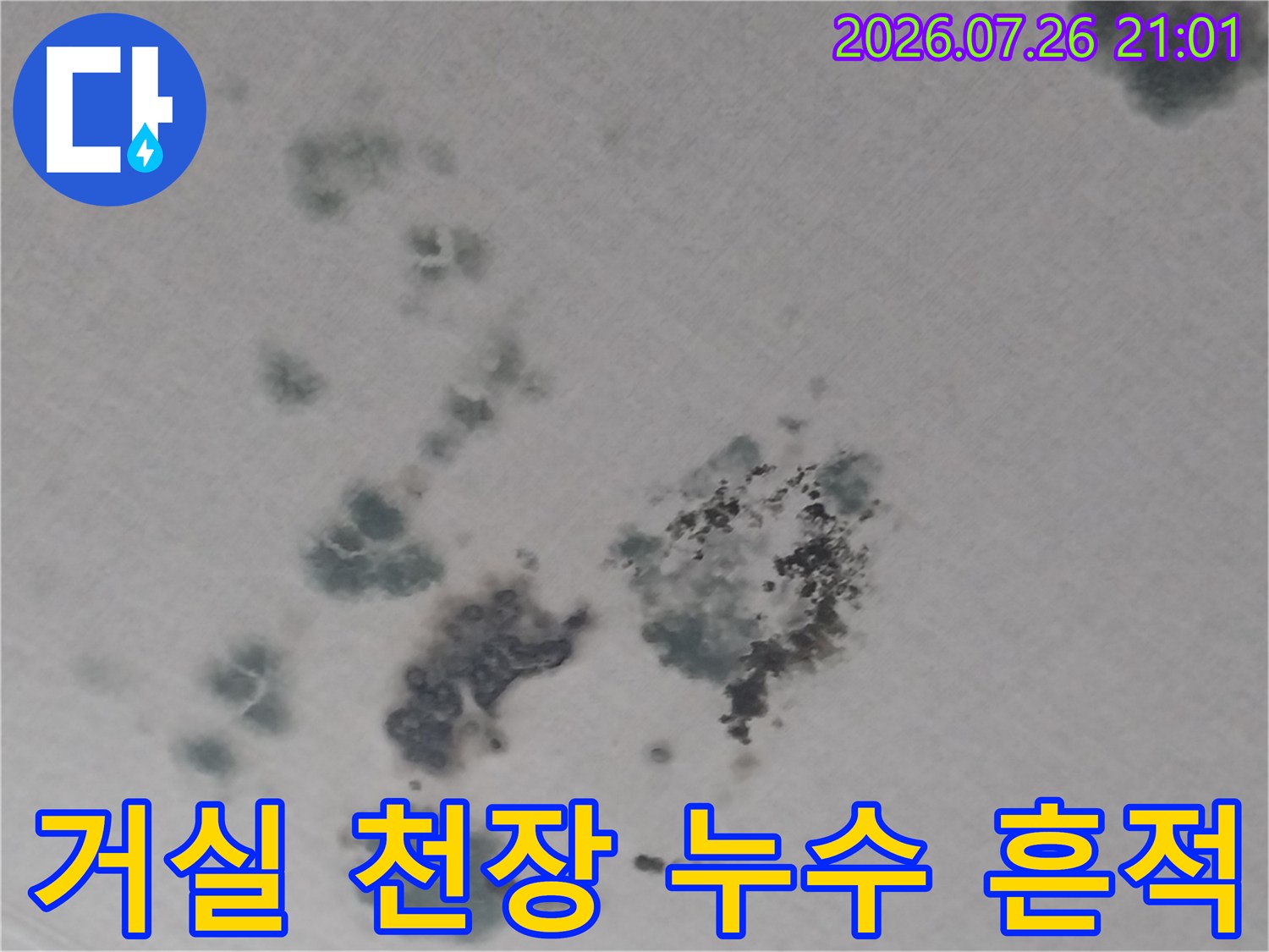 천장의 수분 침투로 발생한 곰팡이와 얼룩의 분포 상태